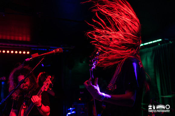 Elder in concert