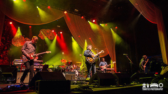 Wilco in concert