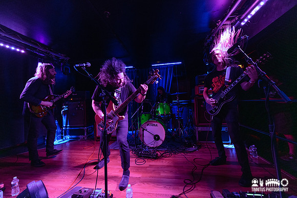 Elder in concert