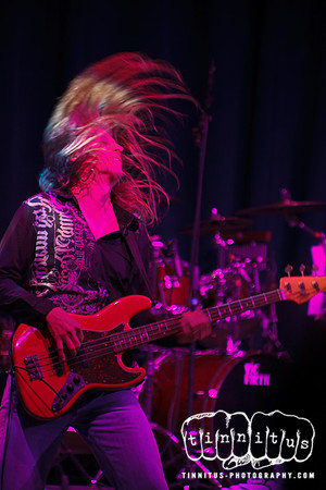 The Outlaws in Concert
