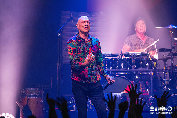 Midnight Oil in concert