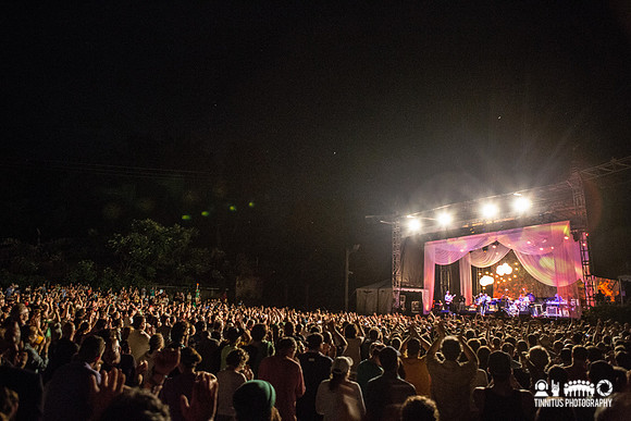 Wilco in concert