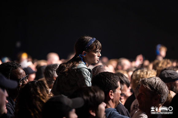The Hives in concert
