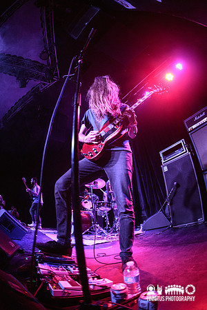 Elder in concert