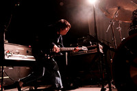 Rhododendron in concert