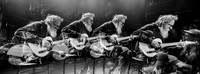 Bill Orcutt in concert