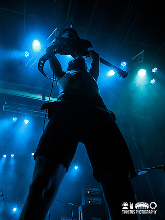 Truckfighters in concert
