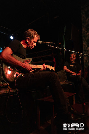 Roy Montgomery in concert