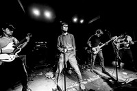 Landowner in concert