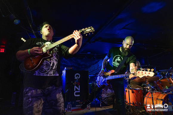 Gozu in concert
