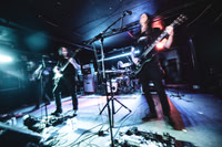 Elder in concert