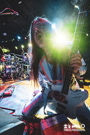 Melvins in concert