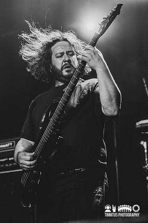 Elder in concert