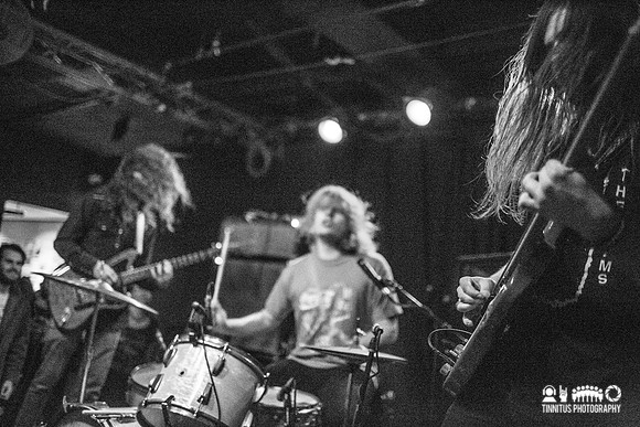 Fuzz in concert