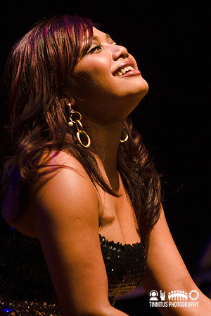 Dengue Fever in concert