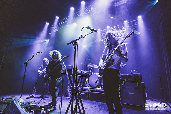 Elder in concert