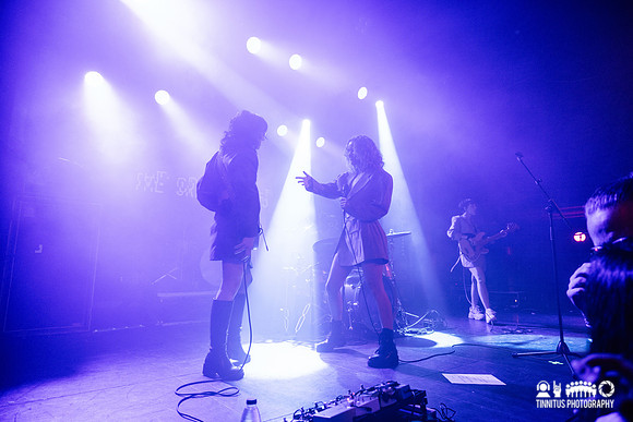 The Crab Apples in concert