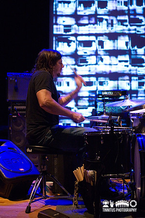 Tortoise in concert