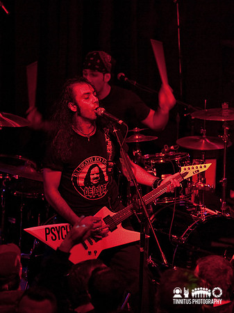 Acrassicauda in concert