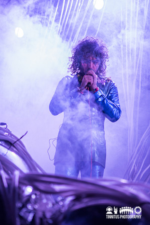 The Flaming Lips in concert