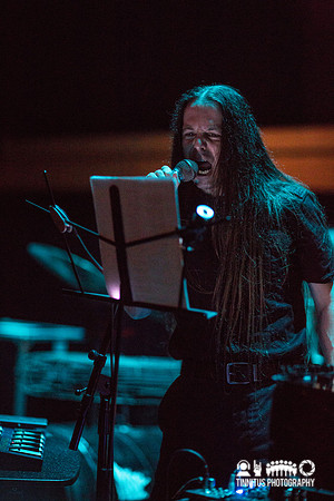 Wold in concert