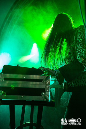 Der Blutharsch and the infinite church of the leading hand in concert