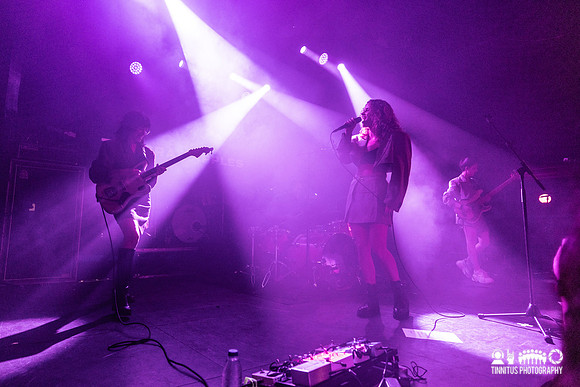 The Crab Apples in concert