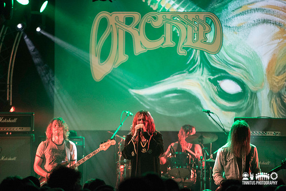 Orchid in concert