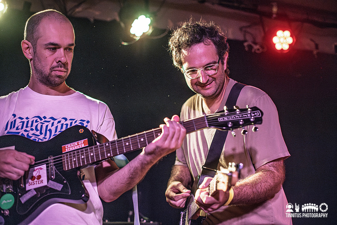 Constant Mongrel in concert