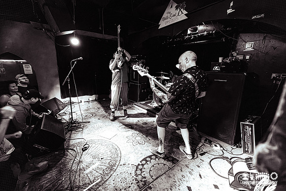Cherubs in concert