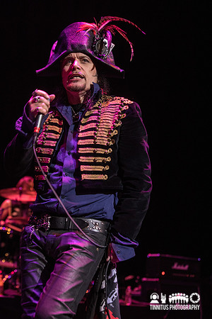 Adam Ant in concert