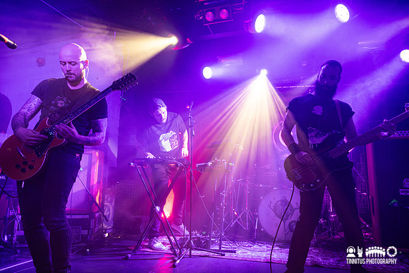 Dvne in concert