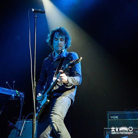 Boss Hog in concert