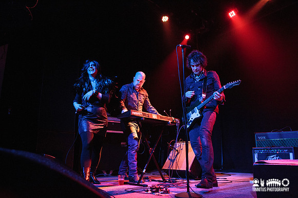 Boss Hog in concert