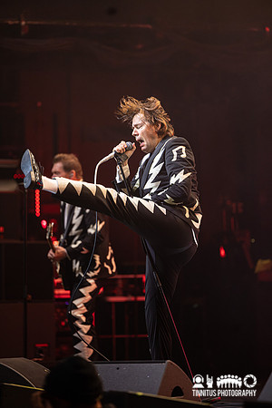 The Hives in concert