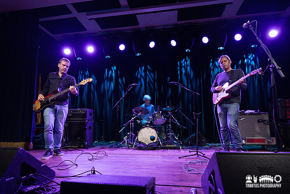 The Clientele in concert