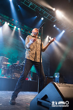 Midnight Oil in concert