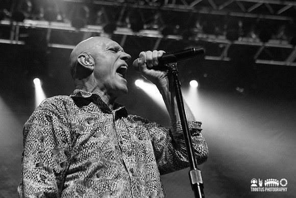 Midnight Oil in concert