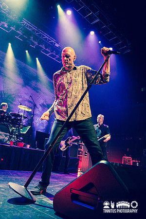 Midnight Oil in concert