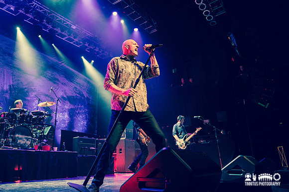 Midnight Oil in concert
