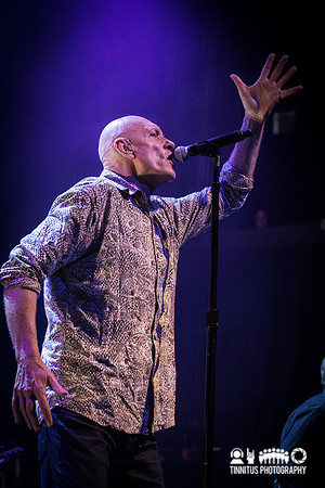 Midnight Oil in concert