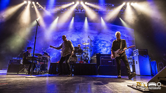 Midnight Oil in concert
