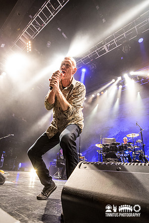 Midnight Oil in concert