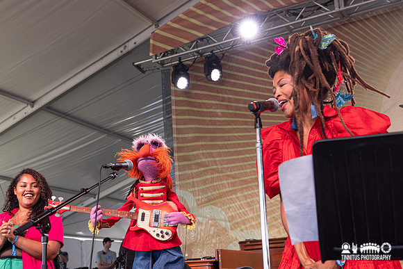 Folk Family Revue in concert