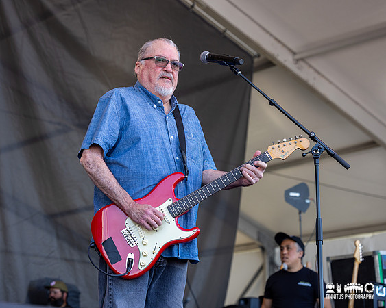 Los Lobos in concert