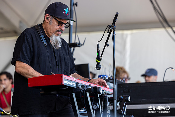 Los Lobos in concert