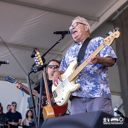 Los Lobos in concert