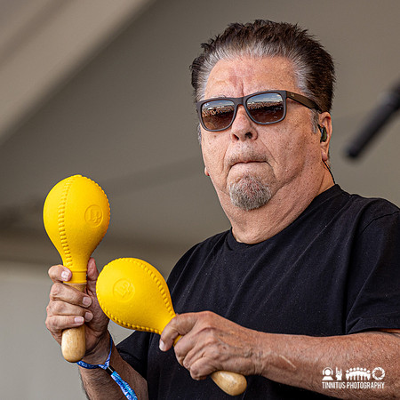Los Lobos in concert