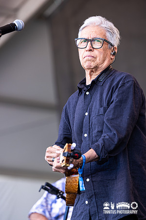 Los Lobos in concert