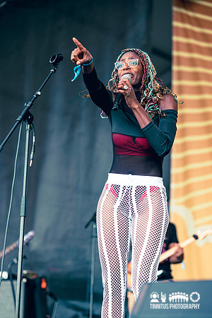 Black Opry Revue in concert